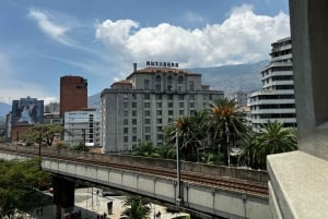 Centro comercial y galerías de arte/museo