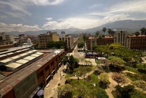 Centro comercial y galerías de arte/museo