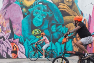 E-bike & Foodie Tour!