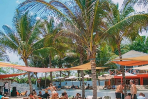 Eco-Luxury Beach Escape Amaressa, Tierra Bombassa