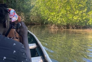 Ecoturismo por los manglares y pesca en el manglar natural de Cartagena