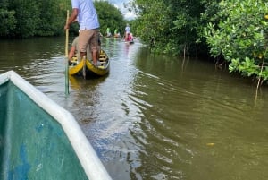 Ecotour and fishing in Cartagena's natural mangrove