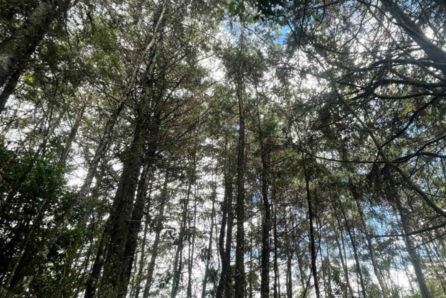 El Carmen de Viboral: La Madera Trail Private Hike