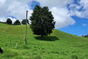 El Carmen de Viboral: La Madera Trail Private Hike