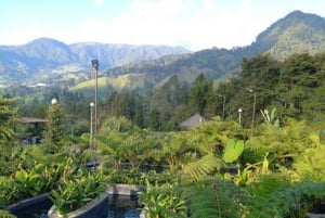 Tur til de varme kildene i El Otoño