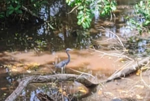 Genieße die Tour nach Puerto Colombia, zum Castillo de Salgar und nach Puerto Mocho