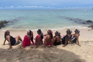 Genieße den Strand von Barú: Vogelhaus + Biolumineszenz-Plankton