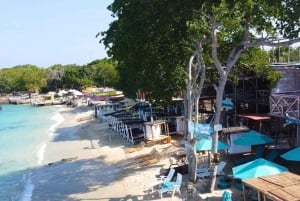 Aproveite a praia de Barú: Aviário + plâncton bioluminescente