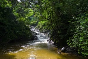 Entre Nubes - Zonsopgang op Cerro Kennedy, Pozo Azul en cacao-ervaring