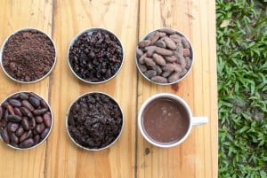 Entre Nubes - Zonsopgang op Cerro Kennedy, Pozo Azul en cacao-ervaring