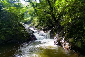Entre Nubes – Sonnenaufgang am Cerro Kennedy, Pozo Azul und Kakao-Erlebnis