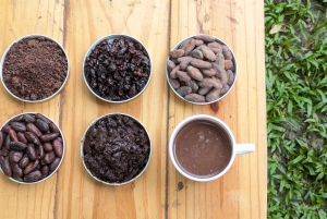 Entre Nubes – Sonnenaufgang am Cerro Kennedy, Pozo Azul und Kakao-Erlebnis