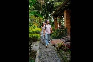 エンビガド：地元の暮らしと文化を知るウォーキングツアー