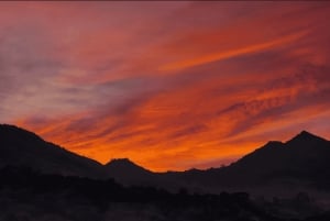 Aventura épica en Antioquia: quads, parapente y caballos de montaña