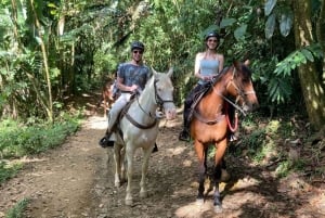 Aventura épica en Antioquia: quads, parapente y caballos de montaña