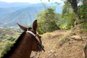 Aventura épica en Antioquia: quads, parapente y caballos de montaña