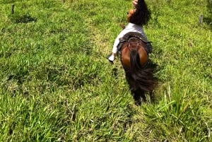 Aventura épica en Antioquia: quads, parapente y caballos de montaña