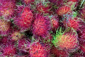 Essential Fruit Experience