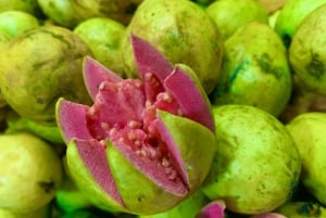 Essential Fruit Experience