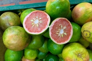 Essential Fruit Experience