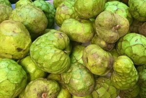 Essential Fruit Experience