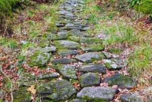 Trekking historique et patrimoine indigène à Minca + Cacao et café + Chute d'eau