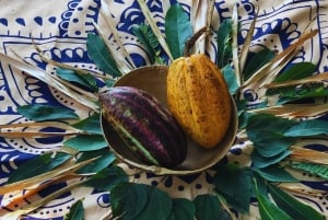 Trekking historique et patrimoine indigène à Minca + Cacao et café + Chute d'eau