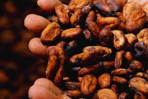 Trekking historique et patrimoine indigène à Minca + Cacao et café + Chute d'eau