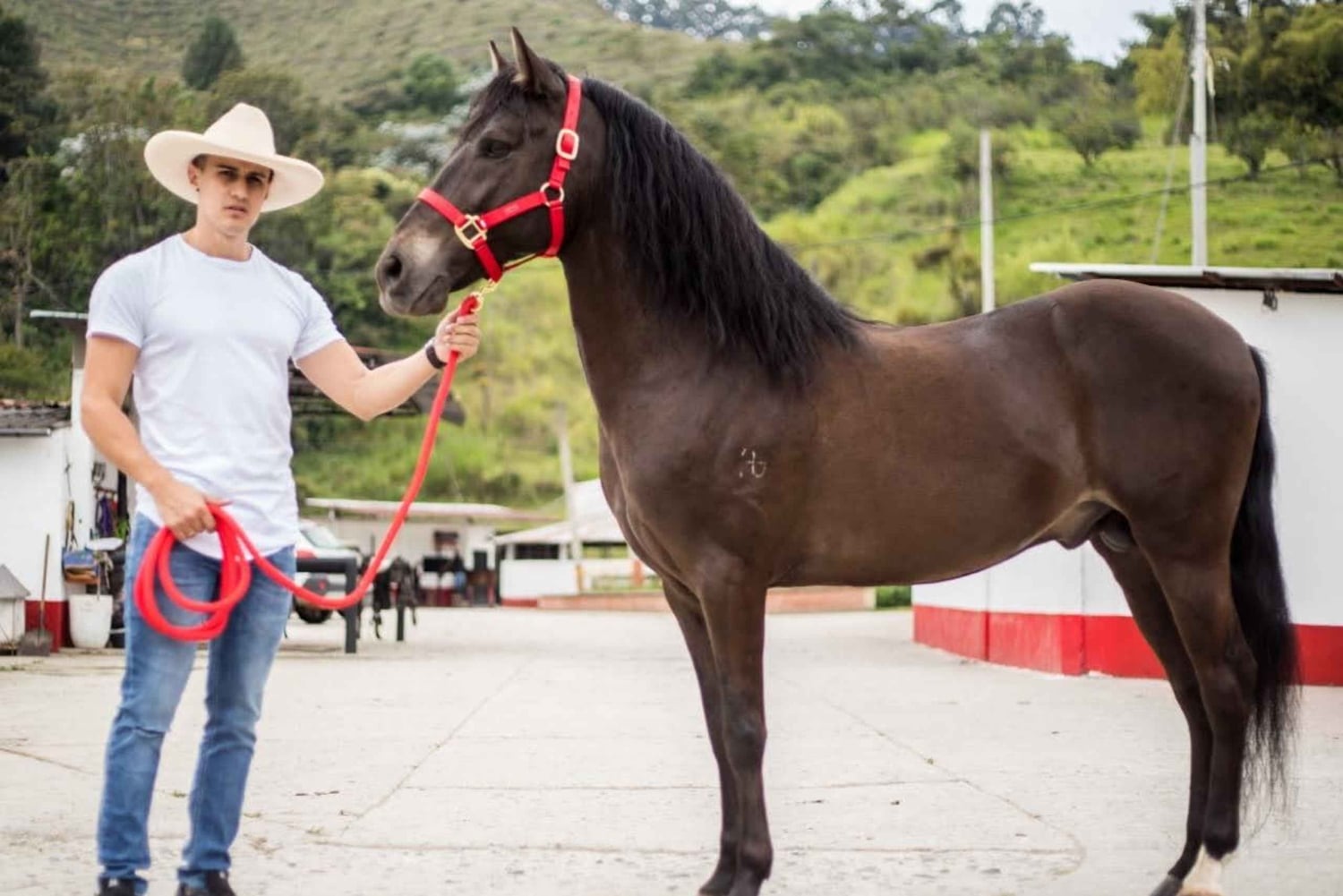 Venez vivre avec nous une superbe balade à cheval et profiter de la nature.