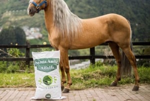 Oplev en fantastisk ridetur med os og nyd naturen.