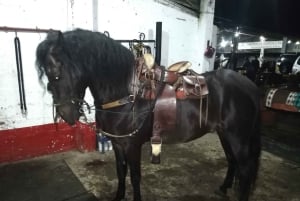 Oplev en fantastisk ridetur med os og nyd naturen.