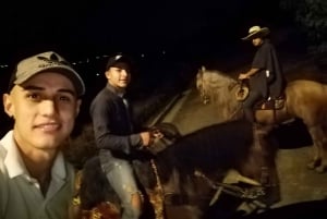 Oplev en fantastisk ridetur med os og nyd naturen.