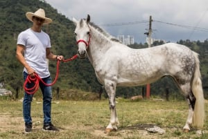 Oplev en fantastisk ridetur med os og nyd naturen.