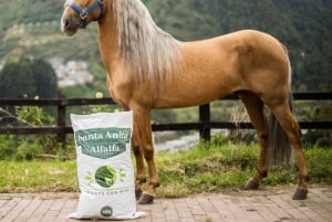 Venez vivre avec nous une superbe balade à cheval et profiter de la nature.