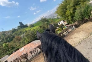 Venez vivre avec nous une superbe balade à cheval et profiter de la nature.