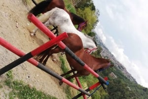 Venez vivre avec nous une superbe balade à cheval et profiter de la nature.