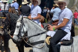 Venez vivre avec nous une superbe balade à cheval et profiter de la nature.