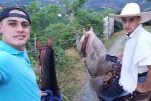 Venez vivre avec nous une superbe balade à cheval et profiter de la nature.