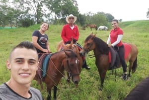 Venez vivre avec nous une superbe balade à cheval et profiter de la nature.