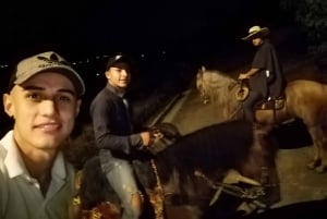 Venez vivre avec nous une superbe balade à cheval et profiter de la nature.