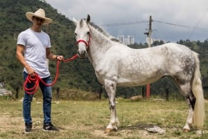 Venez vivre avec nous une superbe balade à cheval et profiter de la nature.