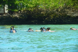Explore and enjoy Rosario and Barú Islands with locals