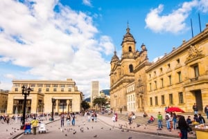 Esplora la magica destinazione della Colombia con questo tour di 10 giorni