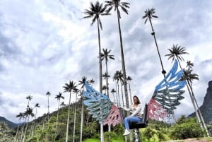 Esplora la magica destinazione della Colombia con questo tour di 10 giorni