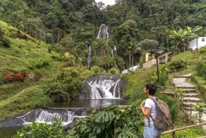 Esplora la magica destinazione della Colombia con questo tour di 10 giorni