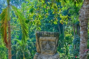 Explore the Magic of Tayronaka: Indigenous Culture, Nature and Adventure