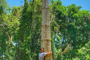 Explore the Magic of Tayronaka: Indigenous Culture, Nature and Adventure
