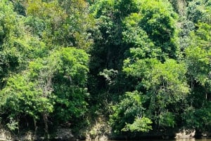 Explore the Magic of Tayronaka: Indigenous Culture, Nature and Adventure