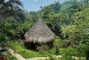 Explore the Magic of Tayronaka: Indigenous Culture, Nature and Adventure