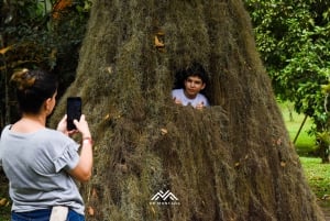 Odkryj Tierradentro: podróż do grobowców i świętych krajobrazów